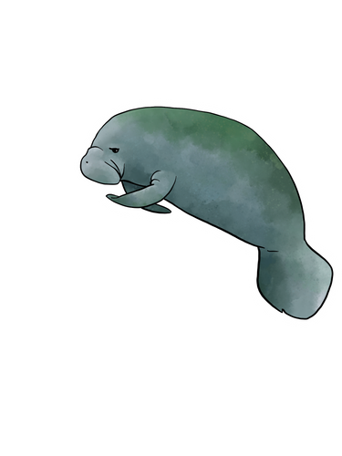 Manatee