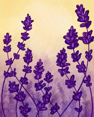 Lavender Sunset