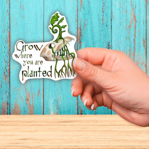 Grow Where you are Planted Sticker
