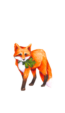 Heartwood Fox Sticker