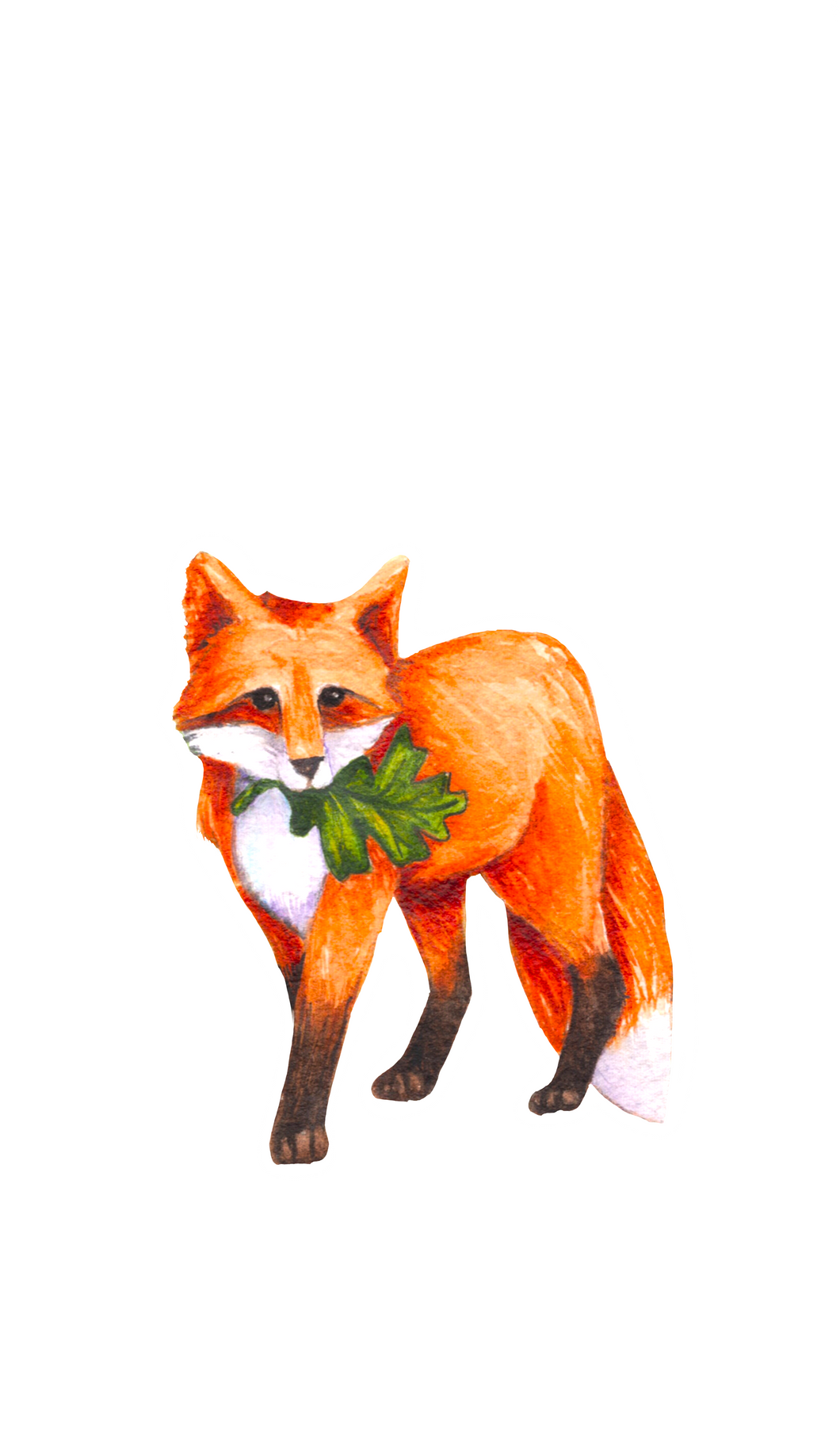 Heartwood Fox Sticker