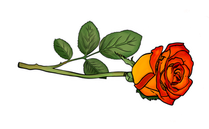 Faire Tidings - Autumn Beauty Rose