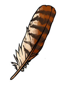 Feather - Red Tailed Hawk sticker