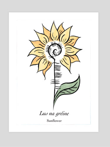 Ogham Sunflower