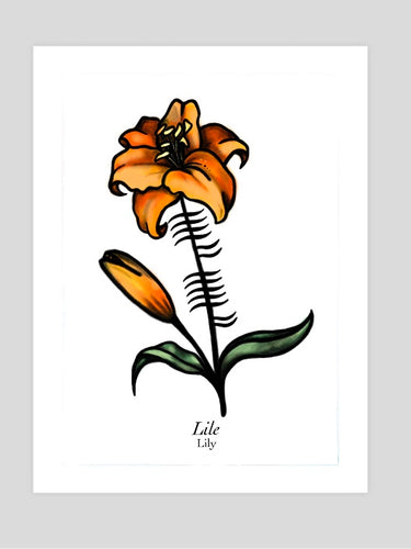 Ogham Lily
