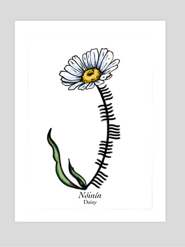 Ogham Daisy