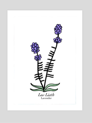 Ogham Lavender