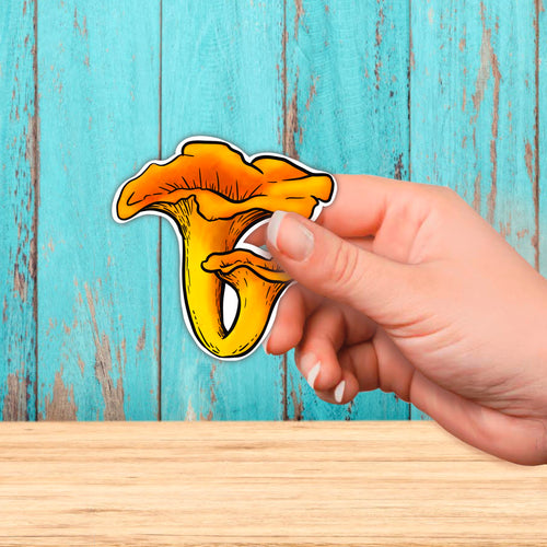 Chantarelle Sticker